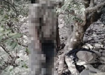 श्मशान घाट में पेड़ से लटकी मिली लाश, पैर थे गायब…..