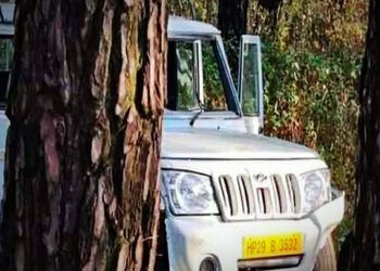 जीप के दुर्घटनाग्रस्त होने से 12 वर्षीय मासूम की मौत, 9 घायल