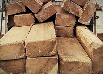 चौपाल व ननखड़ी में क्रमशः देवदार के 15 नग व बालन के 52 नग बरामद