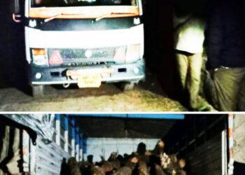 ननखड़ी में अशोक लीलैंड (टेम्पो) से लकड़ी के 52 नग बरामद, मामला दर्ज