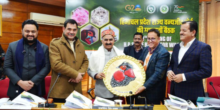 प्रदेश सरकार पर्यावरण संरक्षण और विकास में संतुलन बनाए रखने के लिए प्रतिबद्ध: मुख्यमंत्री