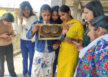 रोहड़ू में मधुमक्खी पालन पर कार्यशाला, देखिए तस्वीरें