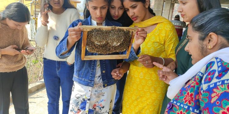 रोहड़ू में मधुमक्खी पालन पर कार्यशाला, देखिए तस्वीरें