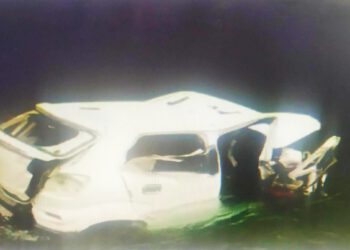 चौपाल के 4 युवकों की उत्तराखंड हादसे में मौत…..