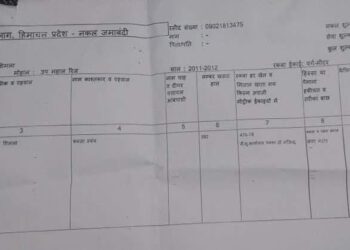 टाऊन हाल शिमला नगर निगम की संपत्ति, एतिहासिक धरोहर का जनहित में हो इस्तेमाल संजय