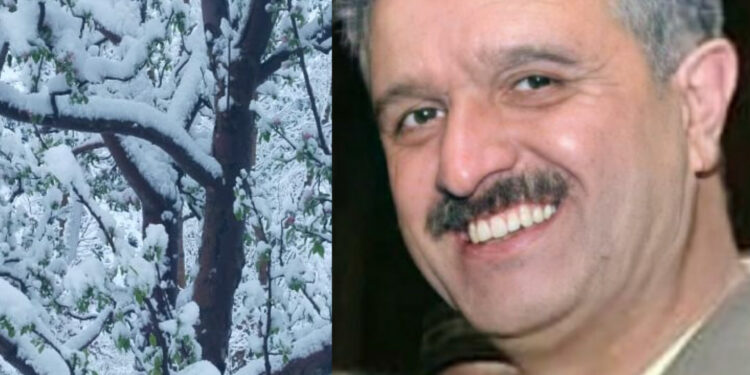 बेमौसमी बारिश-बर्फबारी से किसानों बागवानों को भारी  नुकसान, चौहान ने सरकार से की नुकसान का आंकलन कर मुआवजा देने की मांग…..