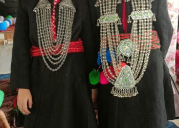 हिमालयन पब्लिक स्कूल रोहड़ू में हिंदी भाषण प्रतियोगिता आयोजित