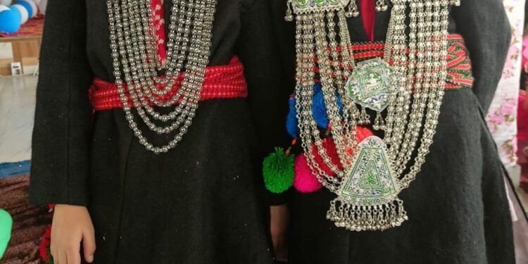 हिमालयन पब्लिक स्कूल रोहड़ू में हिंदी भाषण प्रतियोगिता आयोजित