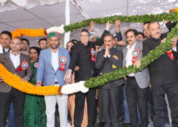 सरकार की नीतियों-कार्यक्रमों को कार्यान्वित करने में कर्मचारियों की महत्त्वपूर्ण भूमिका