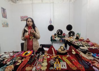 हिमाचल कला शिल्प का नया प्रयोग मेले का आकर्षण