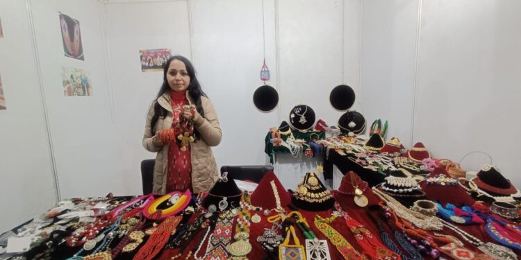 हिमाचल कला शिल्प का नया प्रयोग मेले का आकर्षण