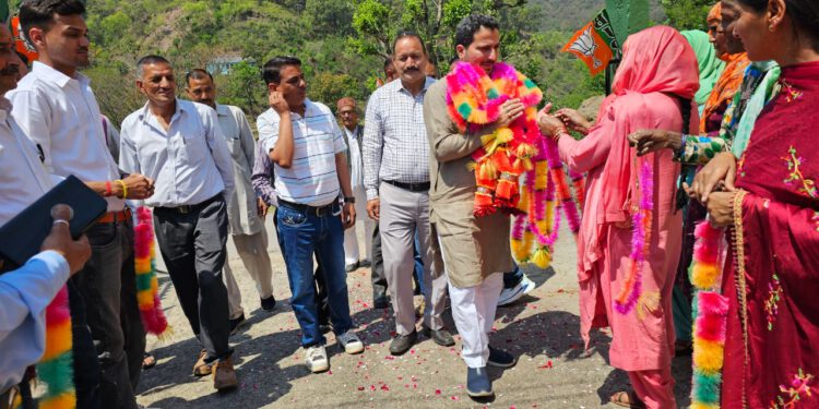 कांग्रेस के गारंटीपत्र व न्यायपत्र महज चुनावी दस्तावेज : राकेश जमवाल