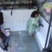 नाथपा झाकड़ी हाइड्रो पावर स्टेशन ने  स्वछता पखवाड़े के तहत विभिन्न स्थानों पर चलाया सफाई अभियान