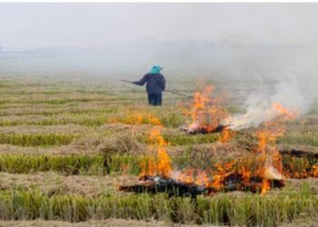 पंजाब में जल रही है पराली,  मान ने मोदी पर कसा तंज, कहा-यूक्रेन युद्ध रुकवा सकते हैं तो पराली का धुआं क्यों नहीं