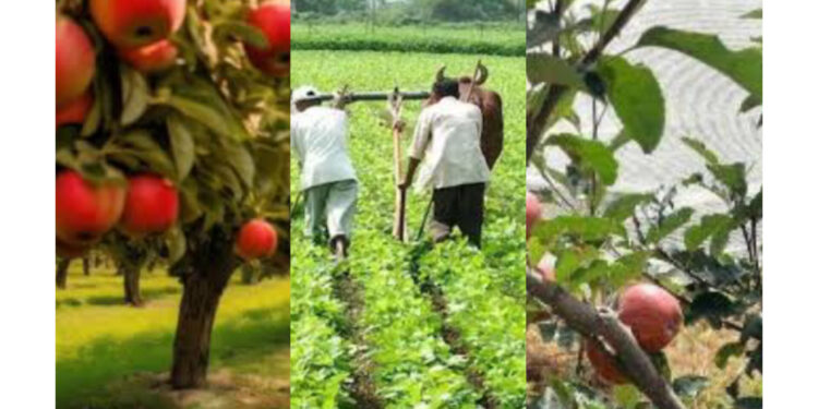 मौजूदा सूखे से निपटने के लिए किसानों और  बागवानों के लिए नौणी विश्वविद्यालय ने की एडवाइजरी जारी, देखिए क्या करना है और क्या नहीं….