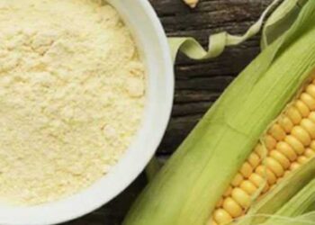 प्राकृतिक खेती से तैयार मक्की के आटे को ‘हिमभोग’ ब्रांड से बाजार में उतारेंगे