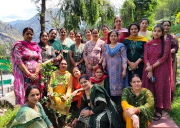 विश्व पर्यावरण दिवस पर लेडीज़ क्लब ने किया वृक्षारोपण, दिया हरित क्रांति का संदेश