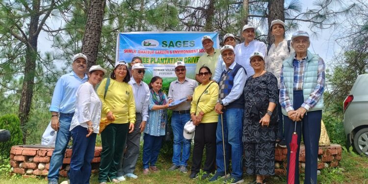 सेजिस द्वारा हियूंन गांव में पौधारोपण अभियान हरियाली और कला का सुंदर संगम