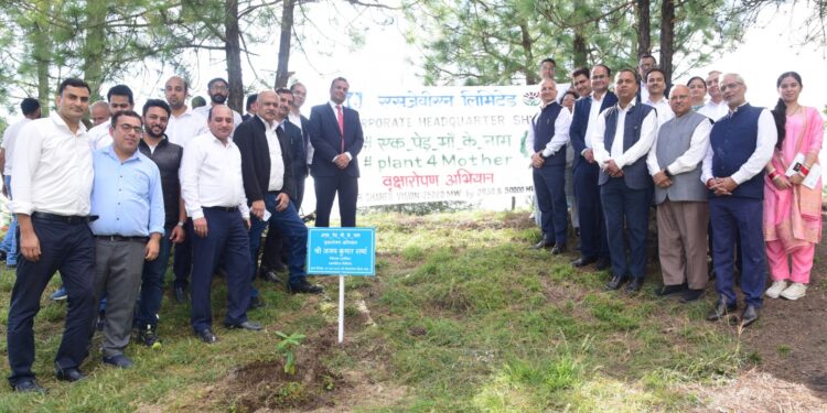 एसजेवीएन ने एक पेड़ मां के नाम अभियान के तहत शिमला में पौधारोपण अभियान का आयोजन किया