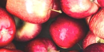 हिमाचल के सेब आर्थिकी  पर गहराए संकट के बादल, EU के साथ हुए FTA से बर्बाद हो जाएंगे बागवान, विस्तार से जानिए कारणों को…..