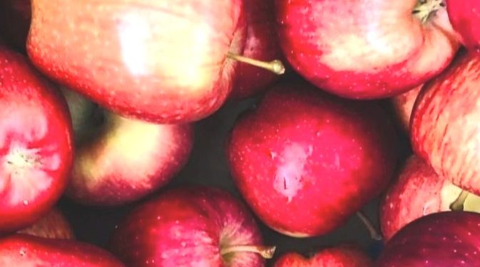 हिमाचल के सेब आर्थिकी  पर गहराए संकट के बादल, EU के साथ हुए FTA से बर्बाद हो जाएंगे बागवान, विस्तार से जानिए कारणों को…..