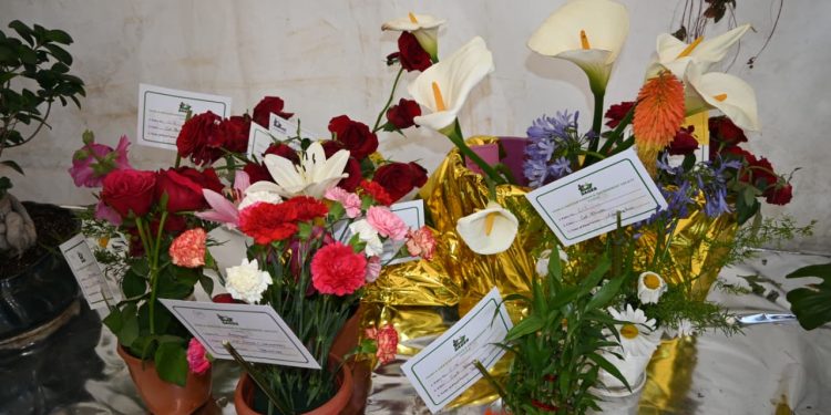 सेजिस द्वारा आयोजित शिमला अन्तर्राष्ट्रीय ग्रीष्म महोत्सव में पुष्प प्रदर्शनी का समापन, जानिए किसे मिले पुरस्कार…..